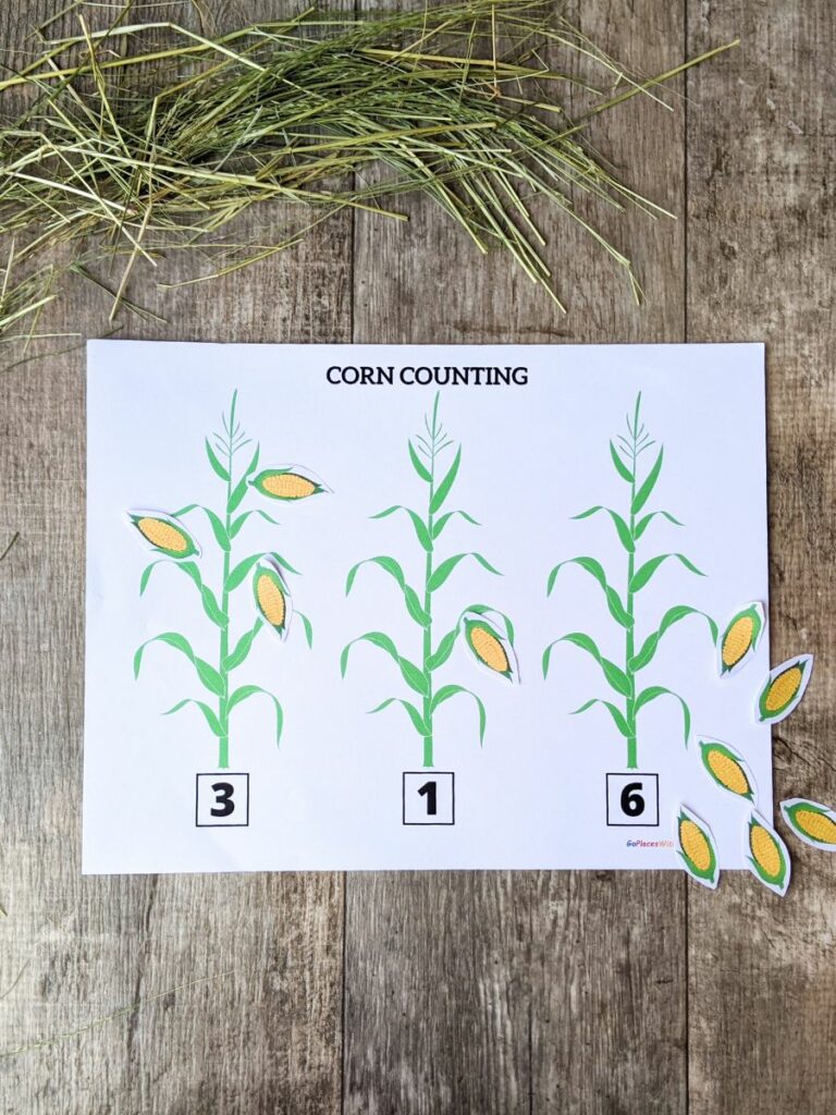 Corn counting