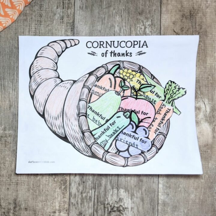 Cornucopia craft