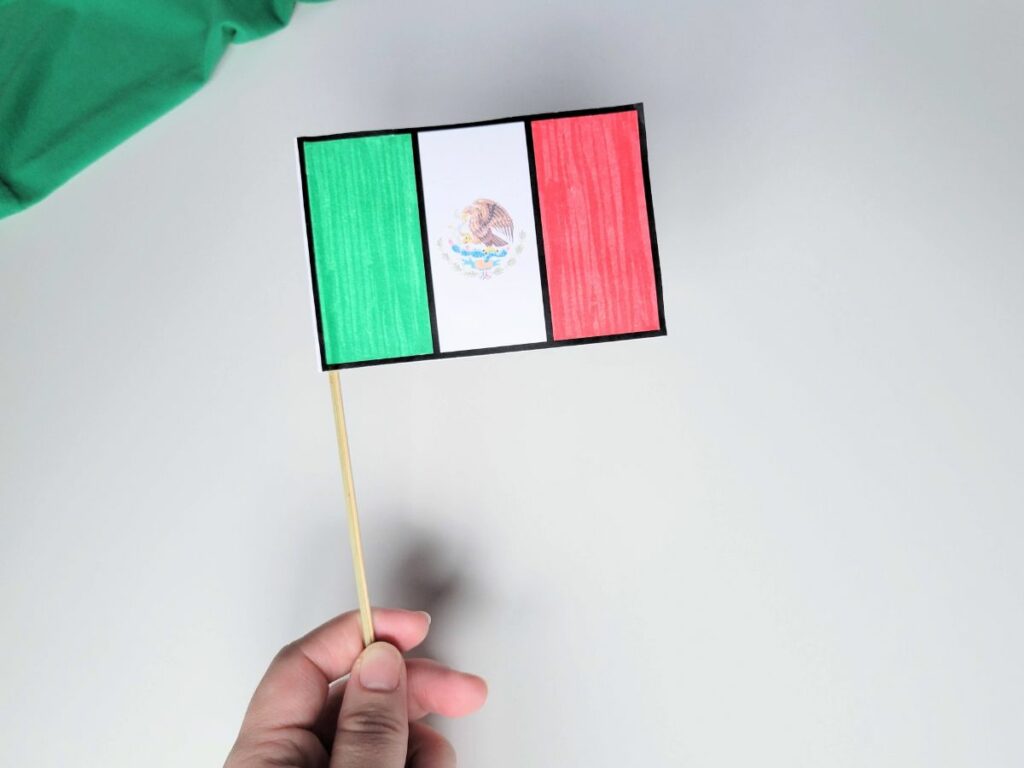 Mexican flag craft