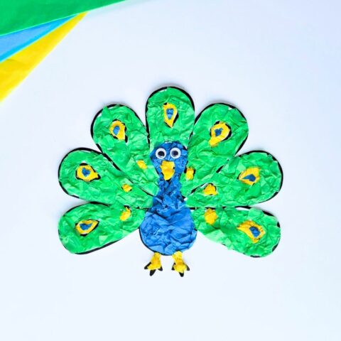 Peacock Tissue Paper Craft - Raise Curious Kids