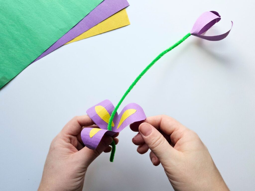Putting the pipe cleaner stem on the iris craft