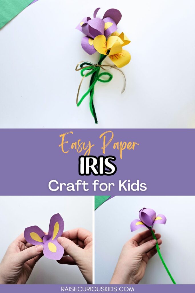 Iris paper craft for kids