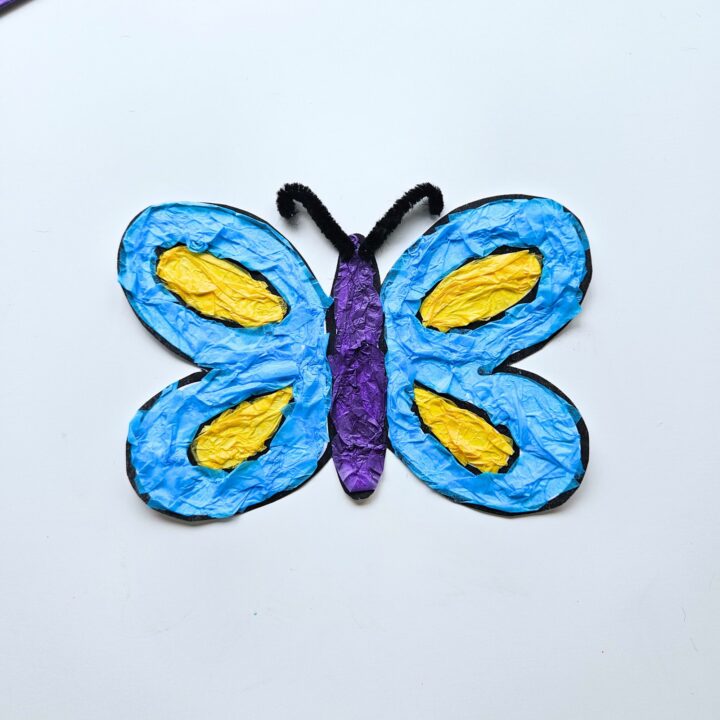 Butterfly tissue paper craft