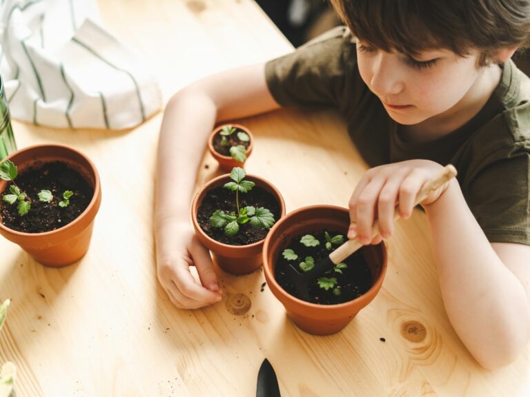 18 Practical Ways to Keep Kids Learning This Summer (How to Avoid the ...