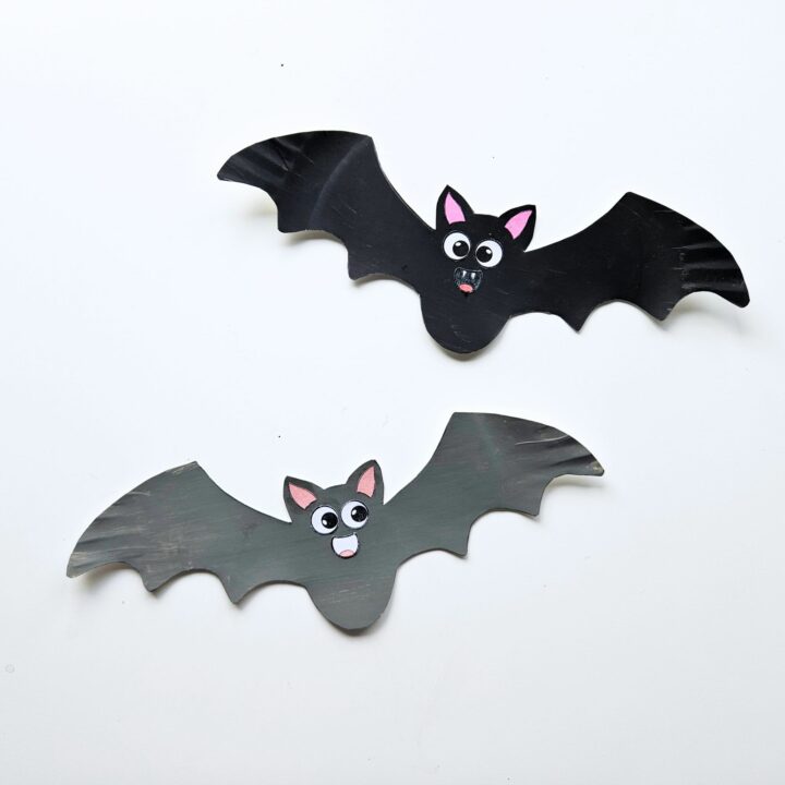 Bat Craft