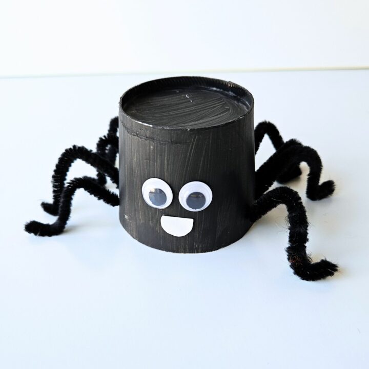 Spider craft