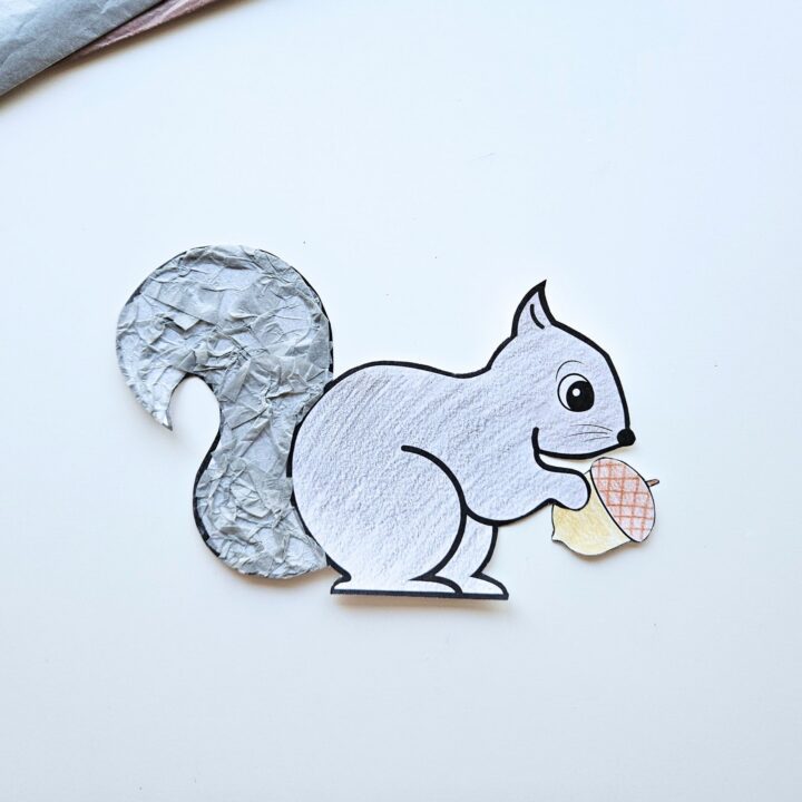 Squirrel Craft