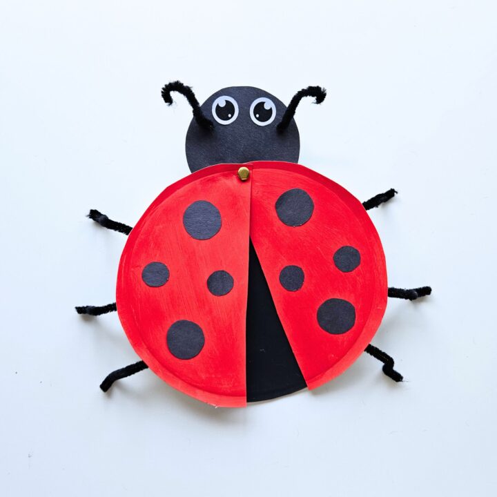 Ladybug paper plate craft