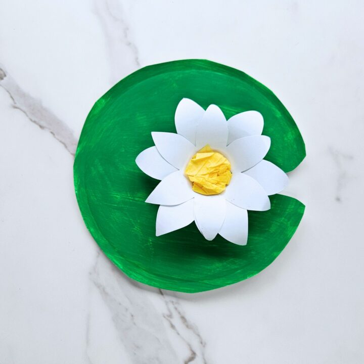 Lotus flower craft