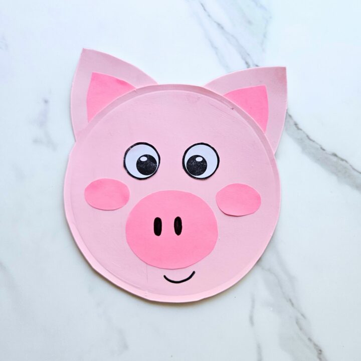 Pig paper plate