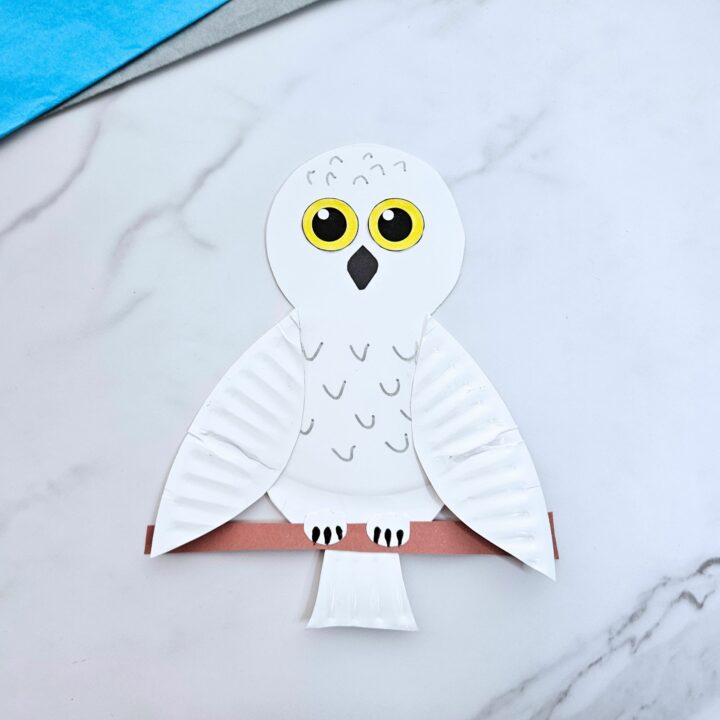 Snowy owl paper plate craft