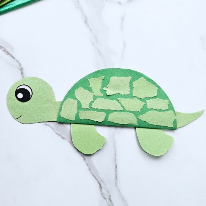 Turtle card craft
