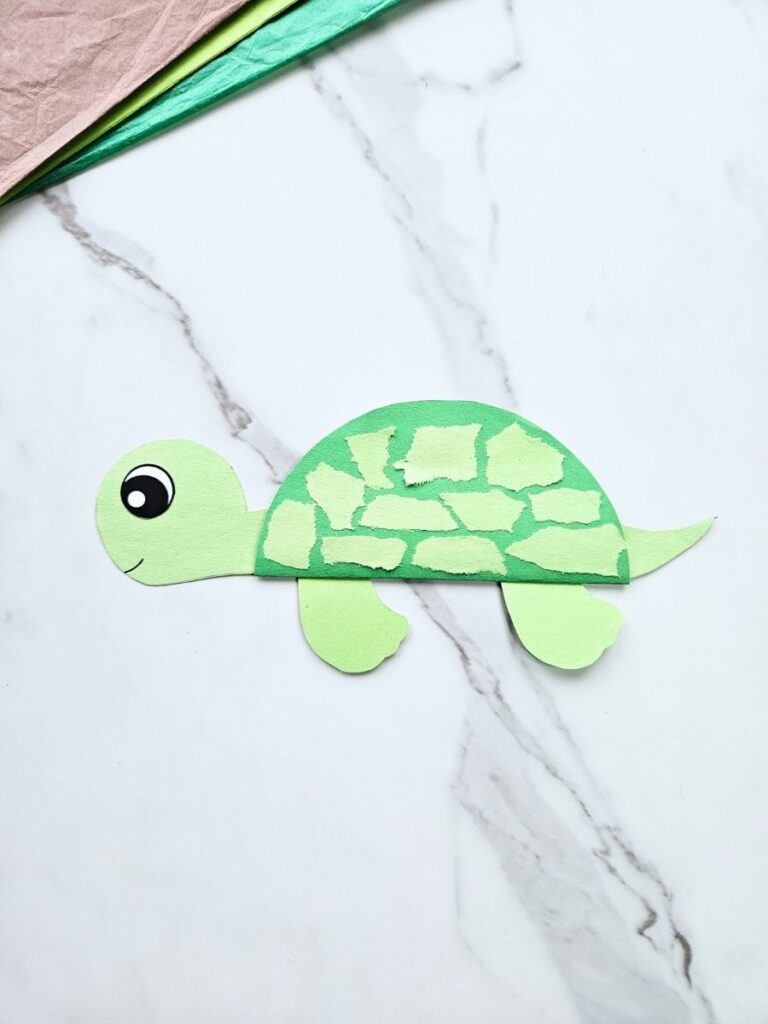 Turtle card craft